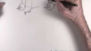 Don Bluth Illustrates Bird Flight