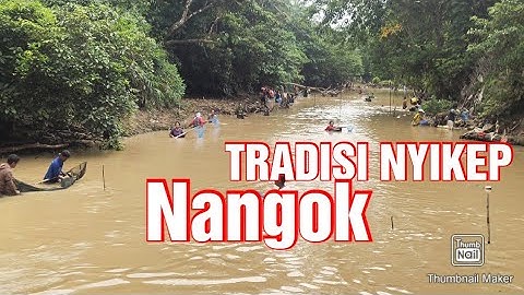 TRADISI NYIKEP NANGGOK, CARA MASYARAKAT SOSOK MENCARI IKAN SAAT MUSIM KEMARAU