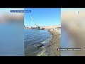Казахстанские экологи проверяют Каспийское море из-за масляного пятна