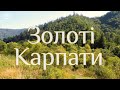 Золоті Карпати