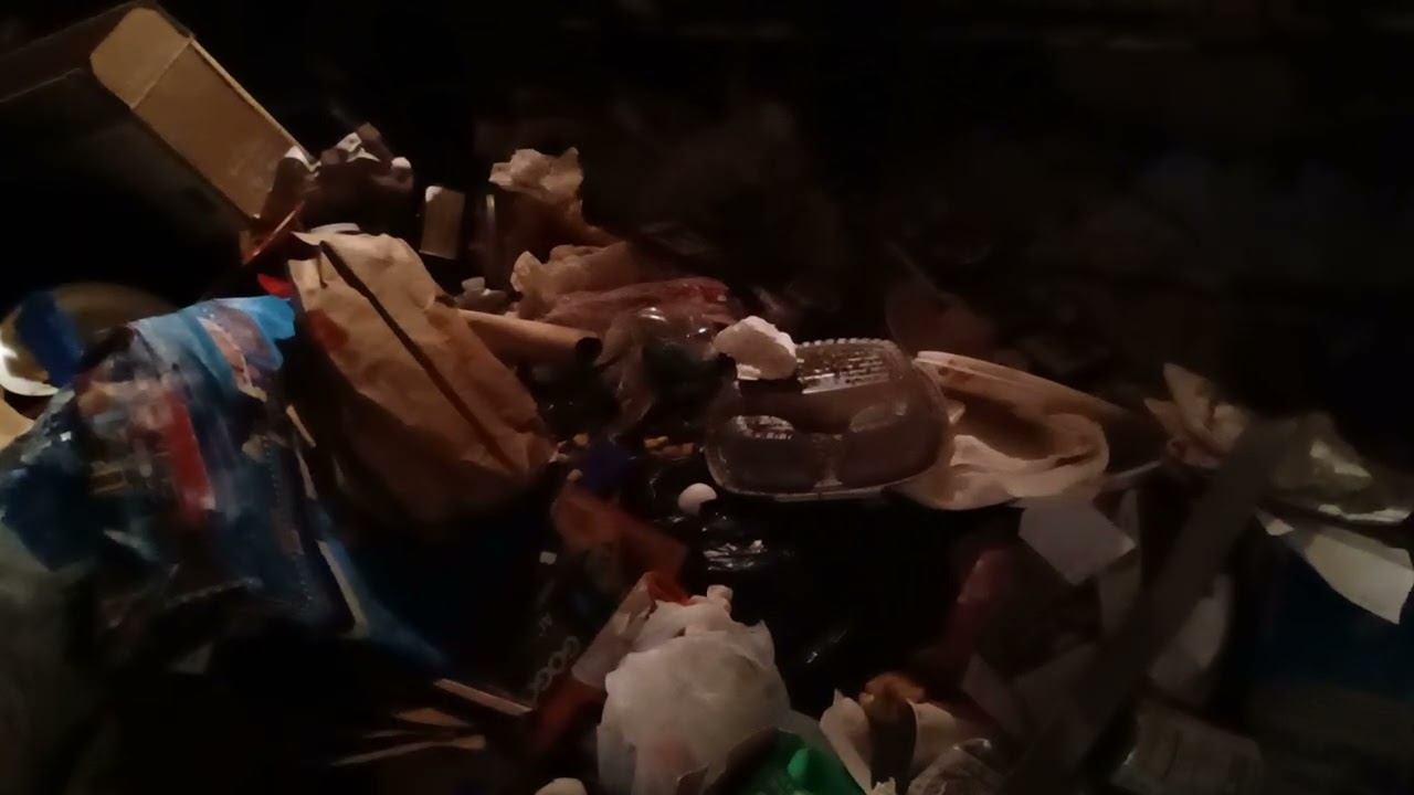 Trash Truck  throwing ice blocks I mean bags part 1