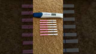 I Took Fertilitea From Beymoss For One Month Before I Got A Positive Pregnancy Test