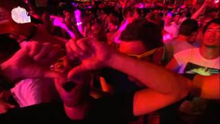 Tomorrowland 2013 - Quintino (1)