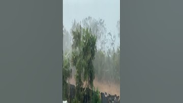 من مقاصد سورة النجم - همسات 235