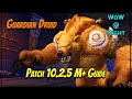 Bear druid guide patch 1025  still really good