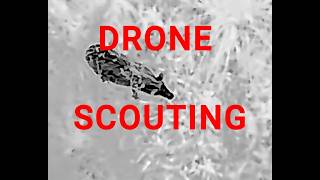 DRONE SCOUTING