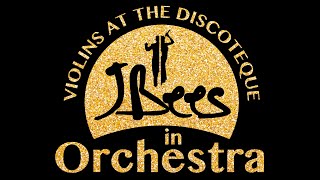 JBees in Orchestra Full concert HD