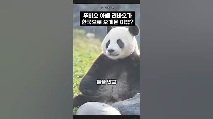 푸바오 아빠 러바오가 한국으로 오게된 이유 #동물 #뉴스 #이슈