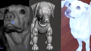 CONVIERTO MI PERRO A 3D