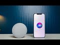 Siri Vs Google Assistant ابل و جوجل معركة الكبار Siri Vs Google Assistant ابل و جوجل معركة الكبار