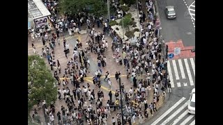 Toyko. The busiest intersection on the planet. The Shibuya Scramble. by Marc Cuniberti 10 views 10 months ago 1 minute, 9 seconds