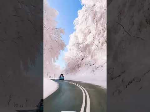 take you along