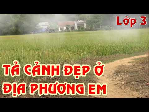 Video TẢ CẢNH ĐẸP Ở ĐỊA PHƯƠNG EM - Lớp 3 - youtube