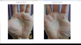 교육회사 운영책임자의 손금..멋진 감정선의 소유자 --평화주의자. 인간성의 모델