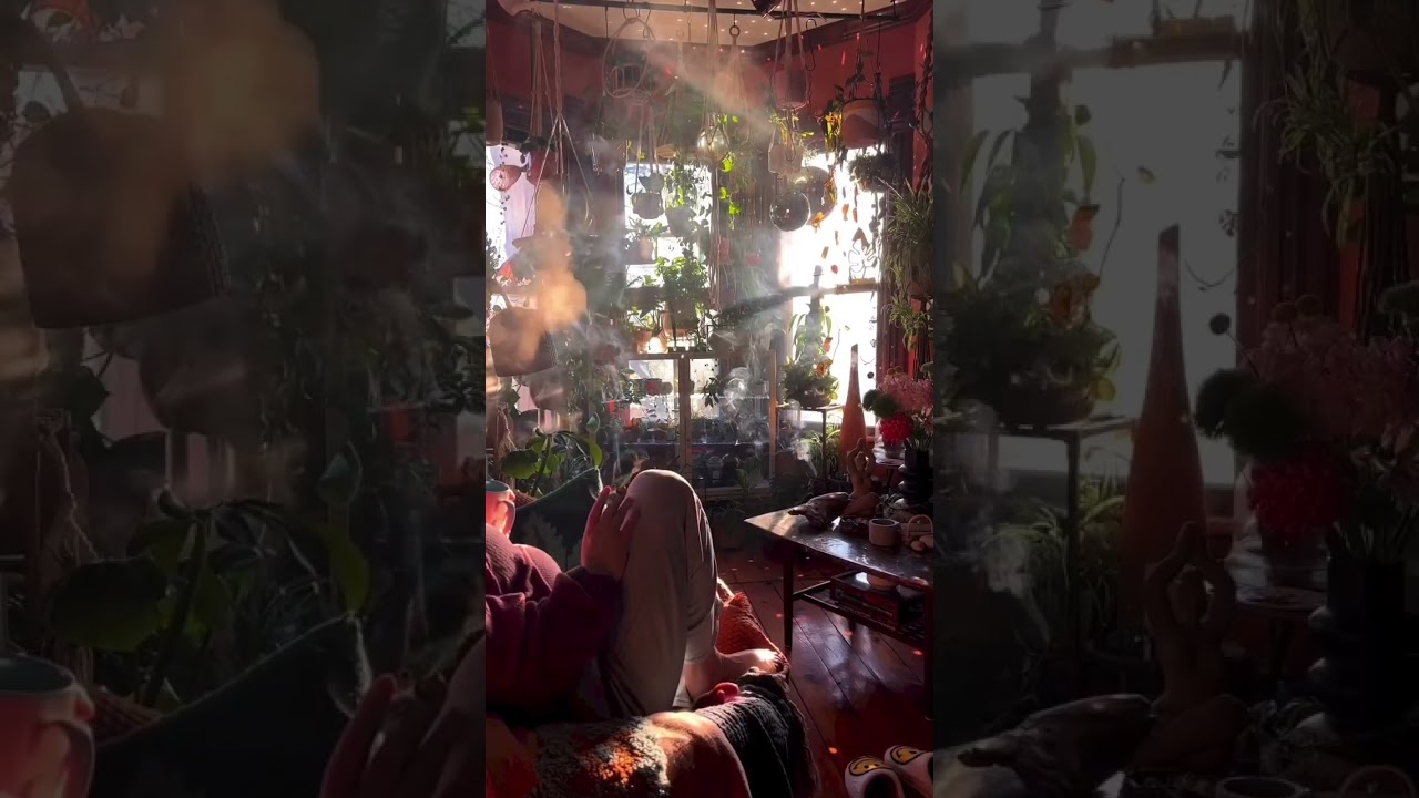 How’s your Monday look’n ??🌿