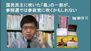 国民民主に吹いた「風」の一部が、参院選では参政党に吹くかもしれない by榊淳司