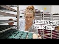 I went behind the scenes at LUSH to find out if they're GREENWASHING