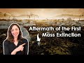 Mass Extinctions and Recovery