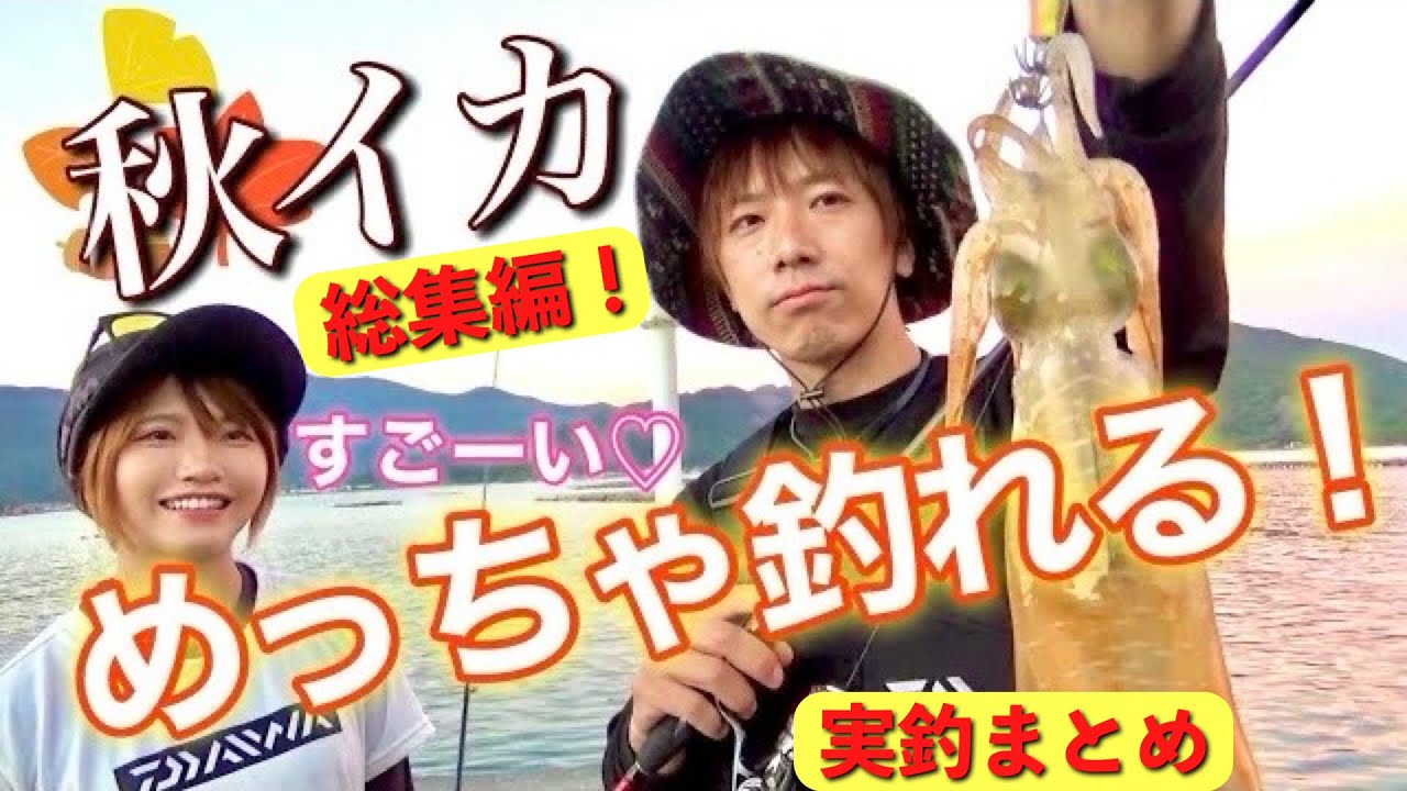 【エギング総集編】見えイカ釣れまくり！秋イカ実釣動画をまとめてみました♩【作業用】