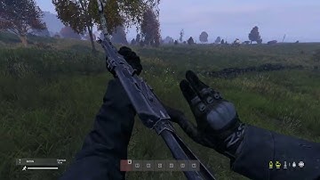BIZON Animations (DayZ 1.16)