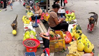 Highly intelligent dog helps owner buy fruit🍈