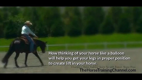 Western Pleasure Training Tip: Get More Lift In Your Show Horse For Correct, Slow Movement