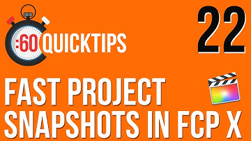 Ep 22 Fast Project Snapshots