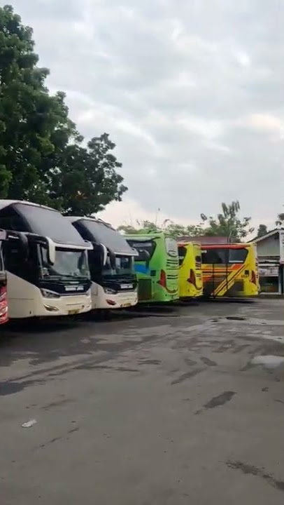 Suasana Pagi Di Terminal Jombor ☺️😍‼️ #shorts #bis #travelling #jalanjalan #terminal #viral