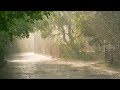 Stress Relief  Sounds, White Noise, Relaxing Nature Sounds, Heavy Rain, Relaxation, Soothing, ☯3352