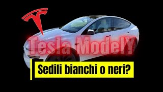 Interni Tesla bianchi o neri? Scegliamo grazie a EVBase