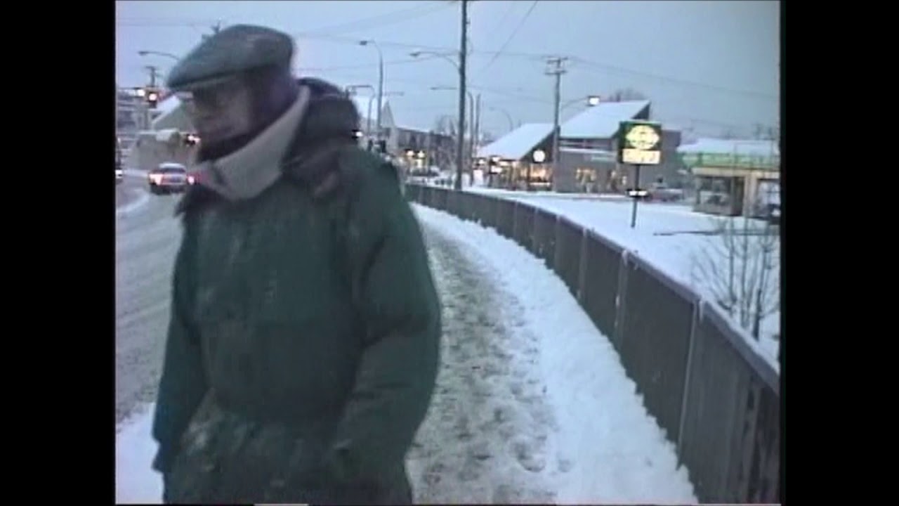 Snow in Ladner 1991