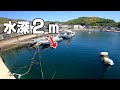 バラシスタ活動再開!水深2mの浅瀬にこんな魚が!?