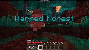 Way of the Nether part 2