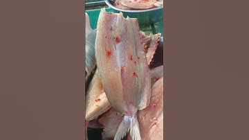 Khô cá nhồng 1 nắng