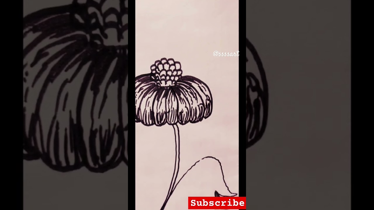 It's never too late to start🌻+☀️ 