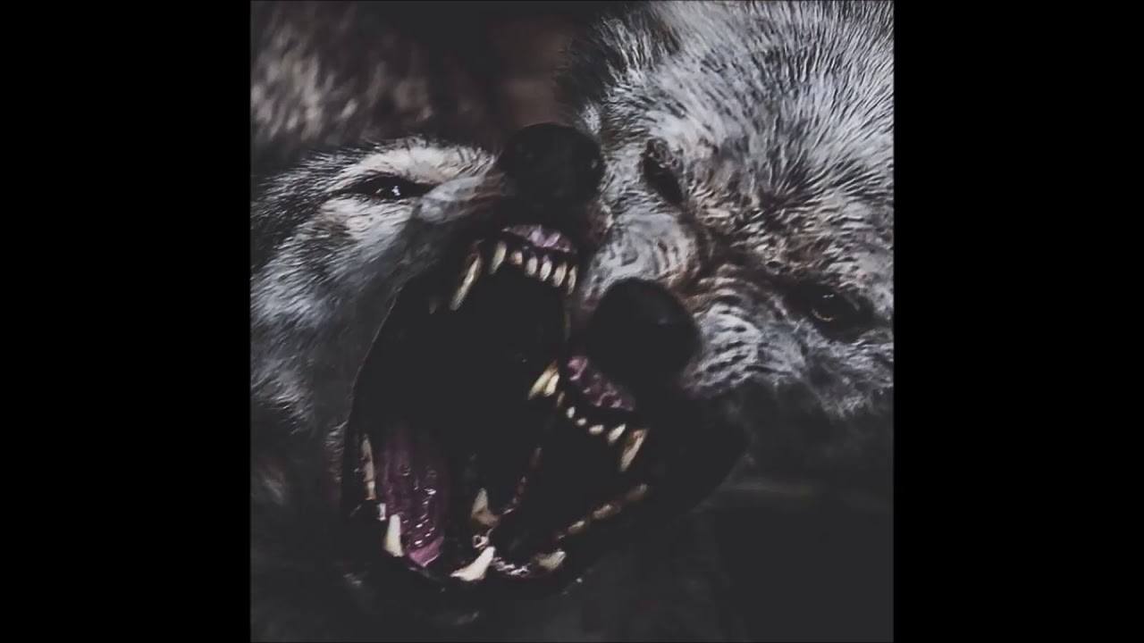 Dough Networkz  - Celebrate Us Feat. Topic