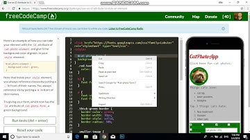 Use an ID Attribute to Style an Element   Free Code Camp