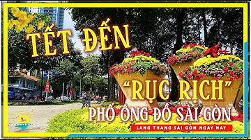 TẾT ĐẾN ✅ "Rục rịch" Phố Ông Đồ lớn nhất Sài Gòn | lang thang Sài Gòn