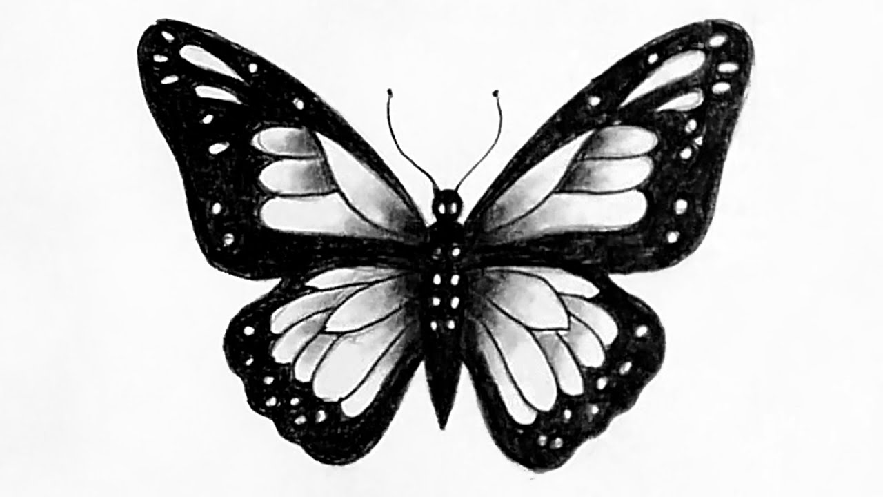 Como dibujar una mariposa facil || Dibujos paso a paso principiantes, image size:1280x720