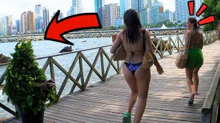 SEE THE BEST REACTIONS TO THE BUSHMAN PRANK ON THE BEACH👻 BEAUTIFUL GIRLS PANICKING CRAZY SCREAMS!
