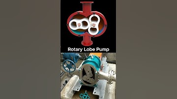 Rotary Lobe Pump  #mechanical #engineering #mechanism #machine #pump #mechanic