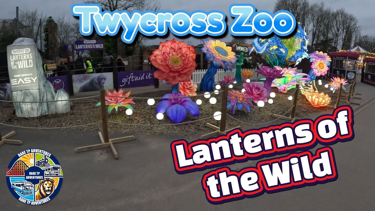 Lanterns of the Wild - Twycross Zoo