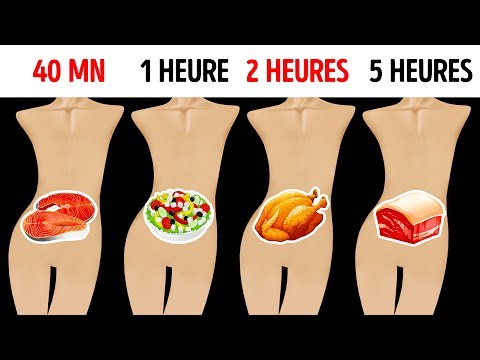 Vidéo: Combien De Temps Faut-il Pour Que Les Aliments Soient Digérés ?