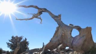 SERDEM COSKUN BANA SENDEN BASKASI HD 720p