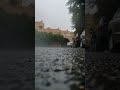 جو يمني ممطر جو يمني ممطر