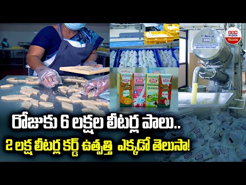 రోజుకు 6 లక్షల లీటర్ల పాలు.. | Vijaya Dairy Milk | Krishna Milk Union Plant Tour | ABN Telugu - ABNTELUGUTV