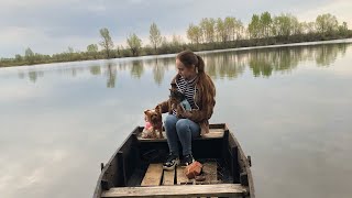 : VLOG:     ,     