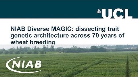 NIAB Diverse MAGIC  dissecting trait genetic architecture across 70 years of wheat breeding