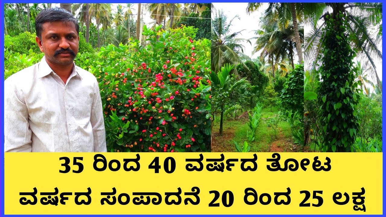 ಏಳುವರೆ ಎಕರೆಯಲ್ಲಿ  ವಿವಿಧ ಜಾತಿಯ ವಿದೇಶಿ ಹಣ್ಣಿನ ಗಿಡಗಳ ಜೊತೆಗೆ ತೆಂಗು ಅಡಿಕೆ ಮೆಣಸು ಏಲಕ್ಕಿ ಅರಿಶಿಣವನ್ನು...!