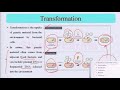 Microbial genetic, pharmaceutical biotechnology b. pharmacy #biotechnology